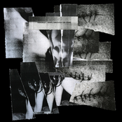 Knife Through The Spine