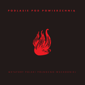 Podlasie pod powierzchnią. Metafory Polski północno-wschodniej