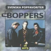 Goodnight Sweetheart by The Boppers