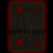 Şişedeki Sinek