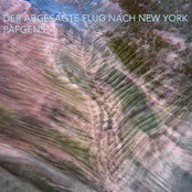 Der Abgesagte Flug Nach New York