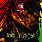 Nu Reggae