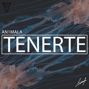 Tenerte