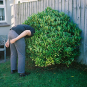 Getdown Services: Dog Dribble