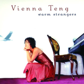 Vienna Teng: Warm Strangers