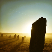 Resonant Landscapes 5
