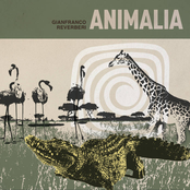 Animalia