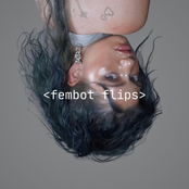 FEMBOT FILES (flipped)