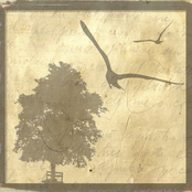 All You Left Behind - EP