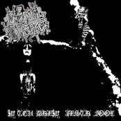 W'tch Brew//Jystr Fool