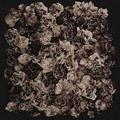 Wszystko muszę zabić / Zanim wyrwiesz mi serce