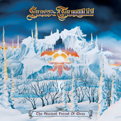 The Ancient Forest of Elves