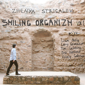 Smiling Organizm