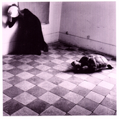 On Being an Angel, 1976