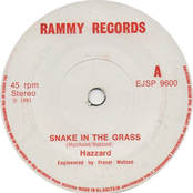 Snake In the Grass 7''