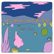 Hummingbird