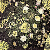 Over Under: Yellow Roses