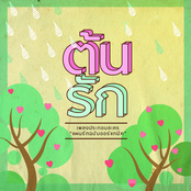 ต้นรัก (From "แผนรักฉบับออร์แกนิค")