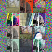 Sequitur Non Sequitur