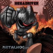 metalhog