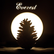Into Your Soft Heart by Everest