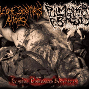 Extreme Carbonized Bodyparts