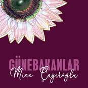 Günebakanlar
