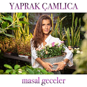 Masal Geceler