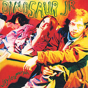 Muffler by Dinosaur Jr.