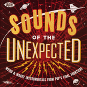 Sounds of the Unexpected: Weird & Wacky Instrumentals from Pop's Final Frontiers