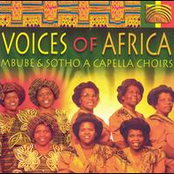 voices of africa