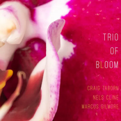 Trio of Bloom