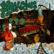 Plants That Grow (Where People Don't Want Them)