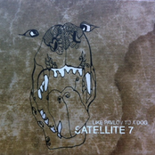 Like Pavlov To A Dog