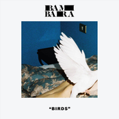 Bambara: Birds