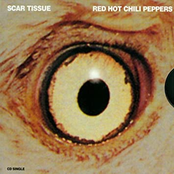 scar tissue