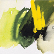 Morning Brings The Light