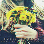 Robar flores del cementerio - EP