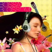 Bossa Blossom