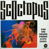 Scoctopus: The In Sound From Octopus Records!