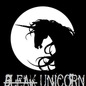 bleak unicorn