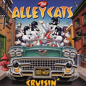 Tears On My Pillow by The Alley Cats