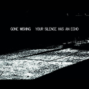 Your Silence Has An Echo (Covers Album)