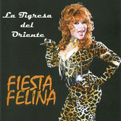 Fiesta Felina