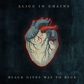 Acid Bubble by Alice In Chains