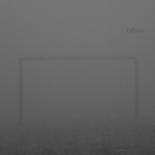 hibou