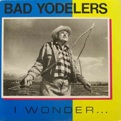 I Wonder...