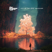 Ripe: Joy in the Wild Unknown