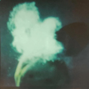 Thought I'd Learn By Now