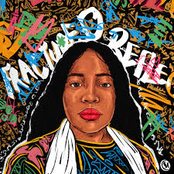 Fractured Reflections